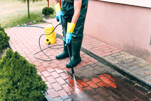 Best Roof Power Washing Services  in Tazewell, VA